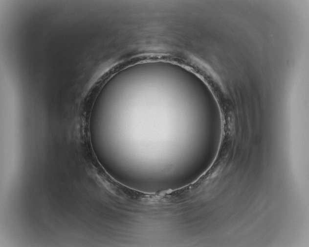X0000112211352200908071446