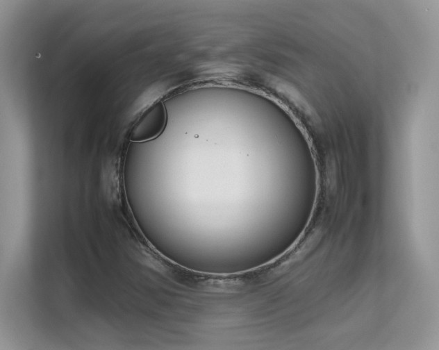 X0000112211354200908071446
