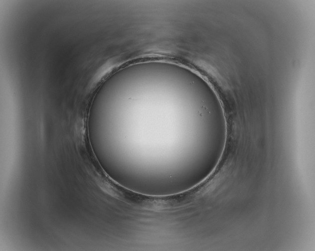 X0000112211355200908071446