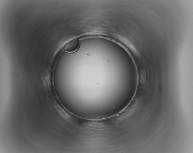 X0000112211356200908071446