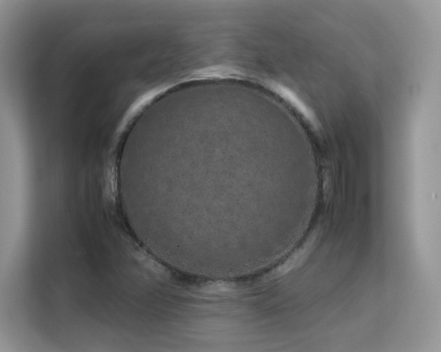 X0000112211358200908071446