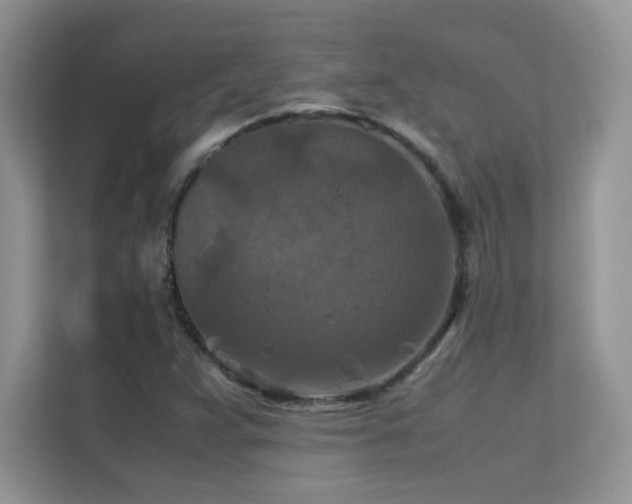 X0000112211359200908071446