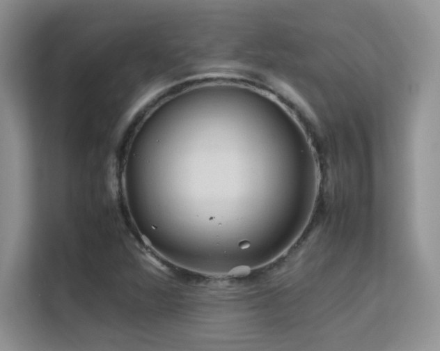 X0000112211360200908071445