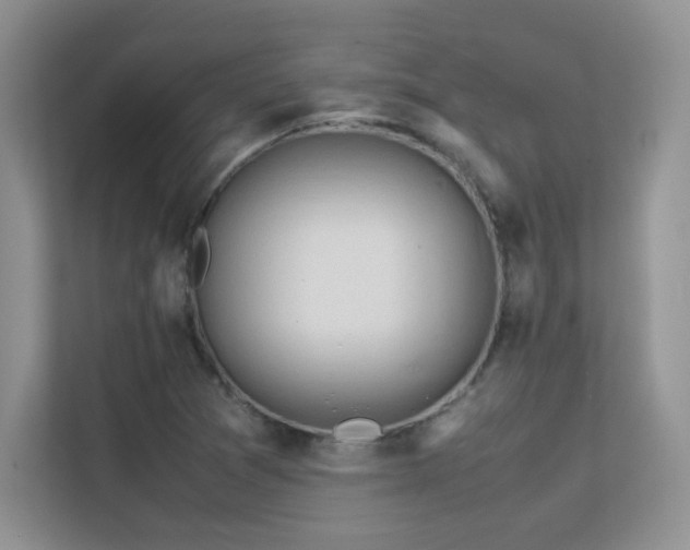 X0000112211361200908071445