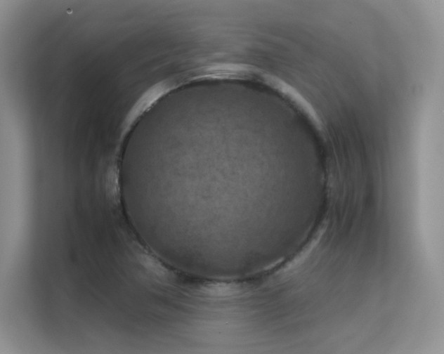 X0000112211362200908071445