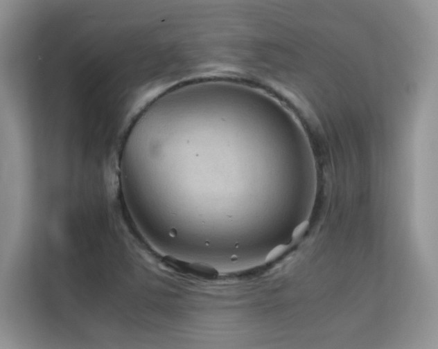 X0000112211363200908071445