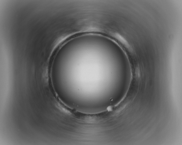 X0000112211364200908071445