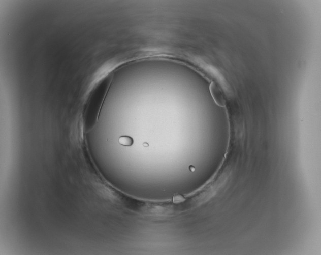 X0000112211365200908071445