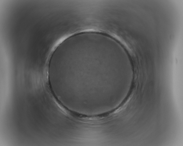 X0000112211367200908071445