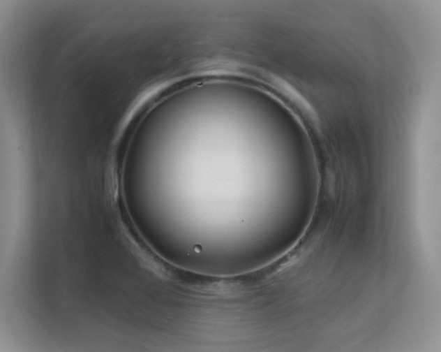 X0000112211368200908071445