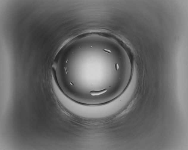 X0000112211369200908071445