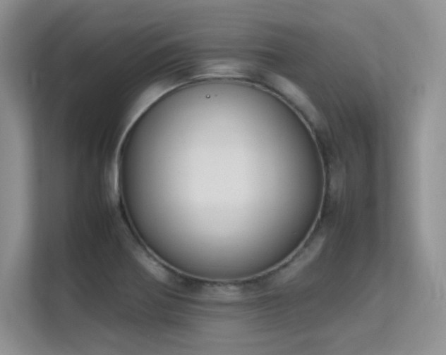X0000112211370200908071445