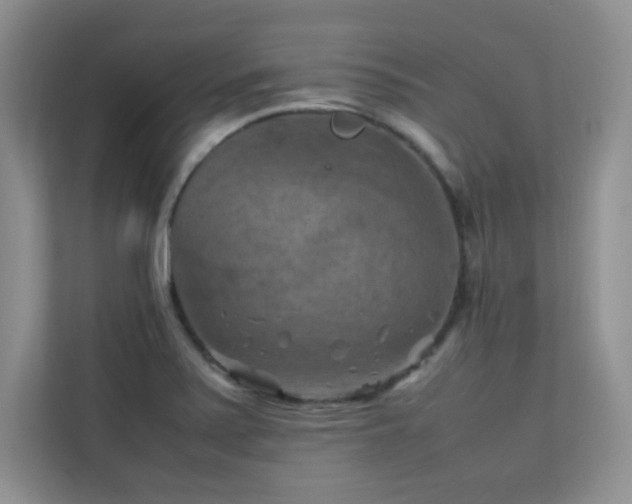 X0000112211371200908071445