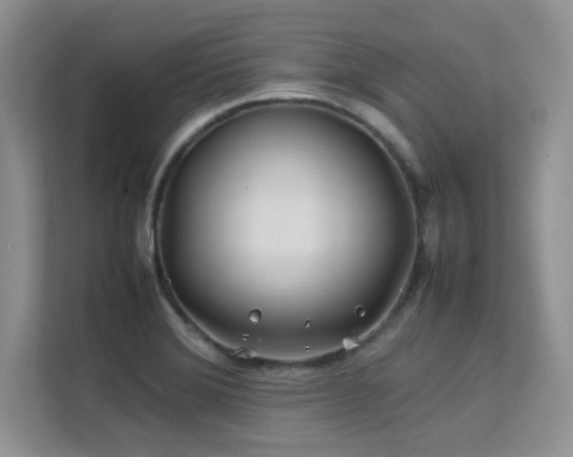 X0000112211372200908071445