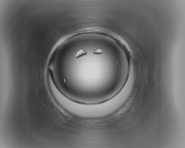 X0000112211373200908071445