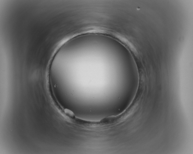 X0000112211375200908071445