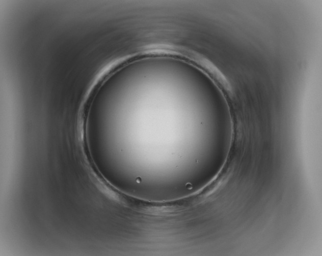 X0000112211376200908071445