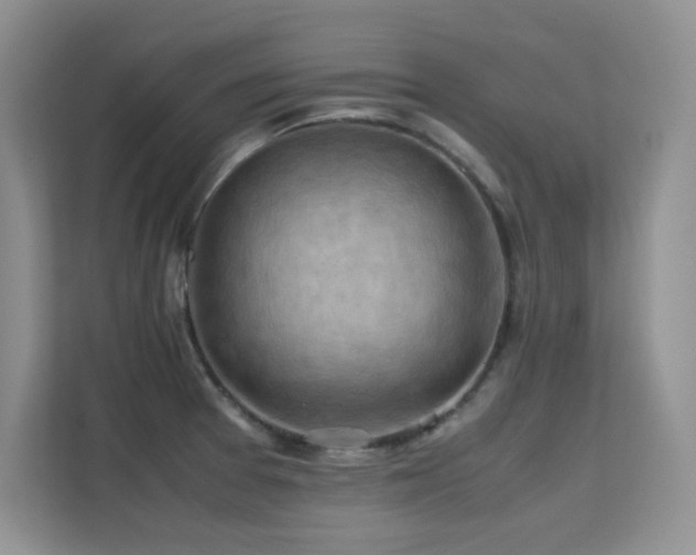 X0000112211377200908071445