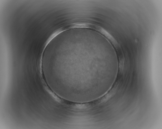 X0000112211378200908071445