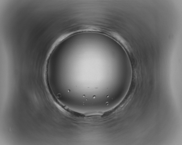 X0000112211379200908071445
