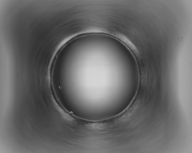 X0000112211380200908071445