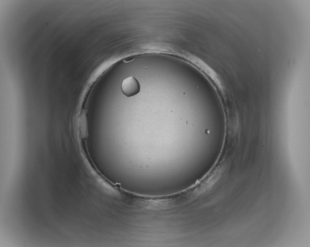 X0000112211381200908071445