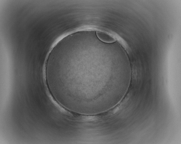 X0000112211382200908071445