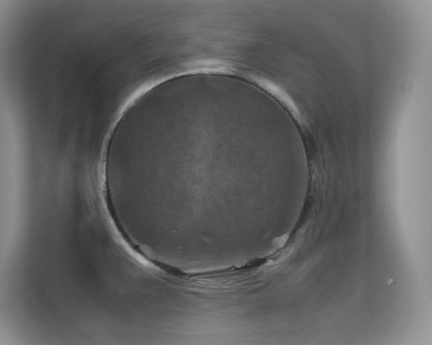 X0000112211383200908071445