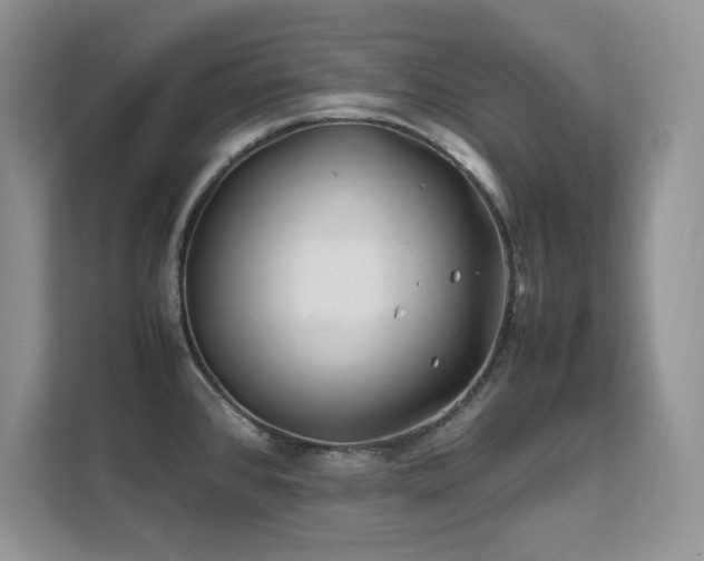 X0000112211384200908071445