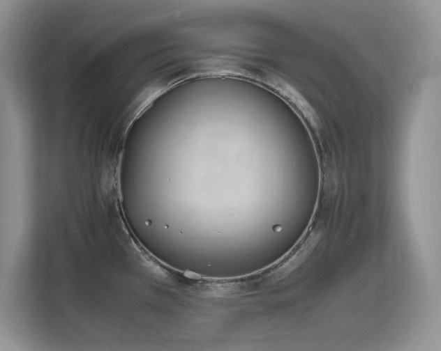 X0000112211385200908071445
