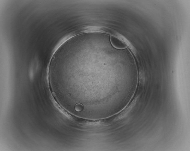 X0000112211386200908071445