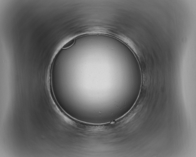 X0000112211387200908071445