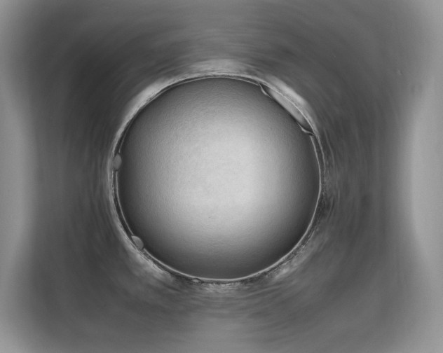X0000112211389200908071445
