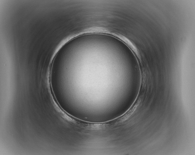 X0000112211390200908071445