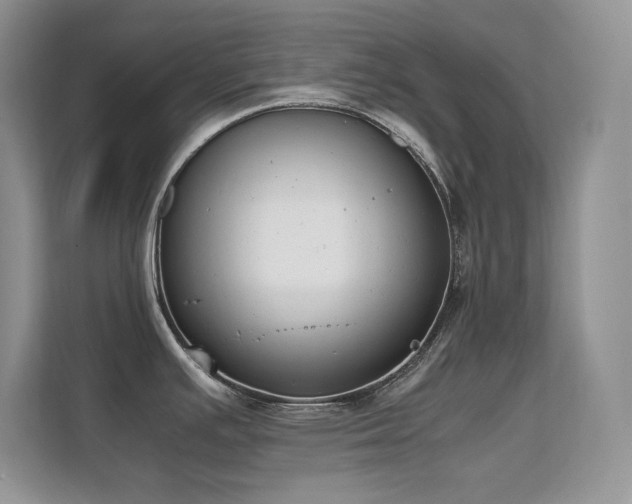 X0000112211391200908071445