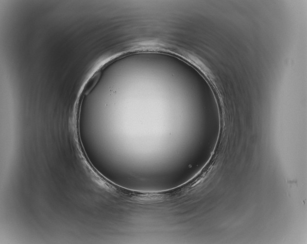 X0000112211392200908071445