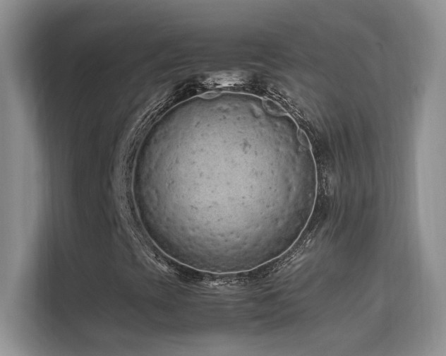 X0000112211393200908071444