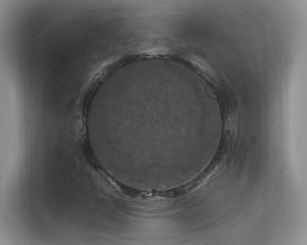 X0000112211398200908071445