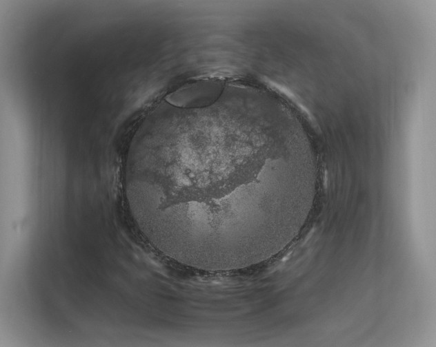 X0000112211399200908071445
