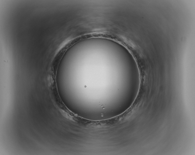 X0000112211400200908071445
