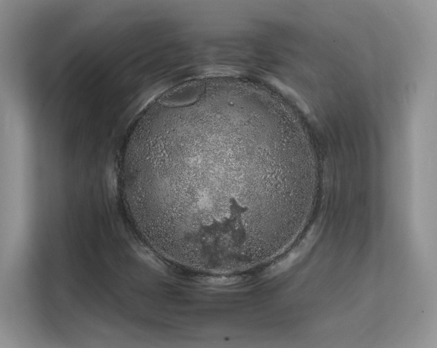 X0000112211401200908071445