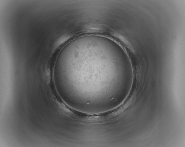 X0000112211402200908071445
