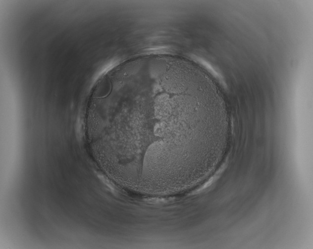 X0000112211405200908071445