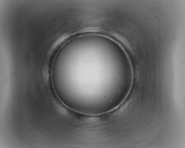 X0000112211406200908071445