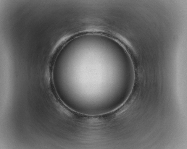 X0000112211408200908071445