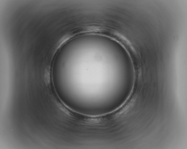 X0000112211409200908071445