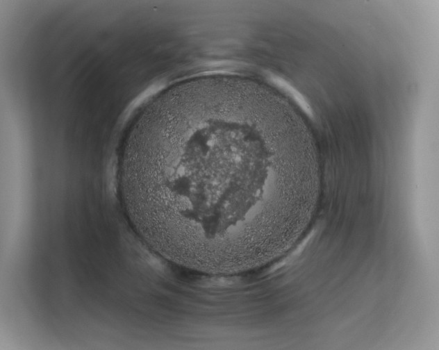 X0000112211411200908071445