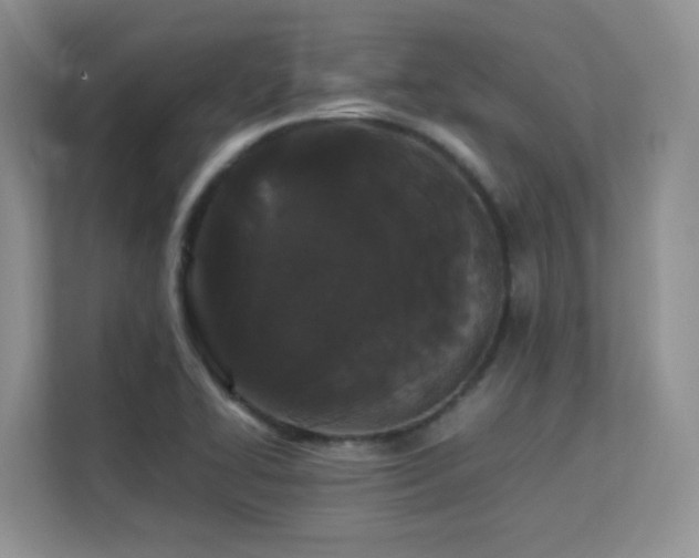 X0000112211414200908071445