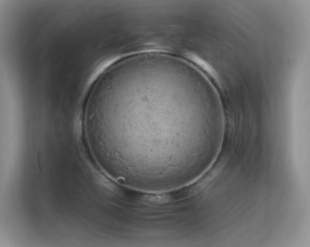 X0000112211415200908071445