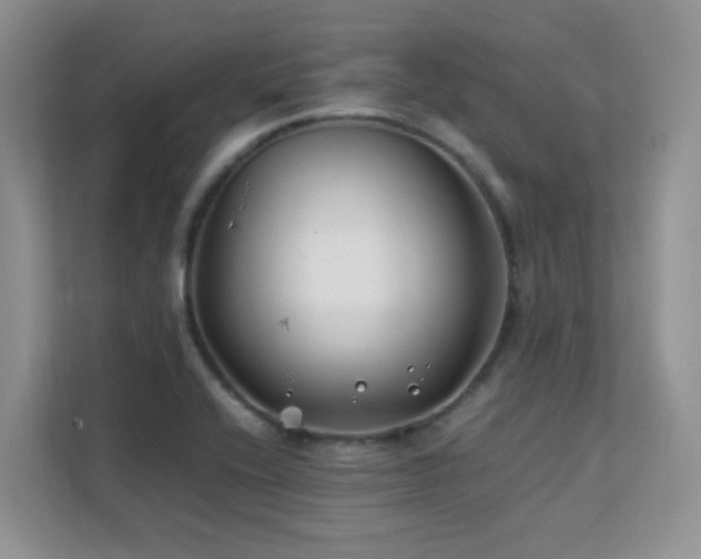 X0000112211416200908071445